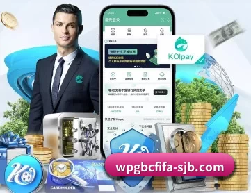 世界杯 APP 深度功能