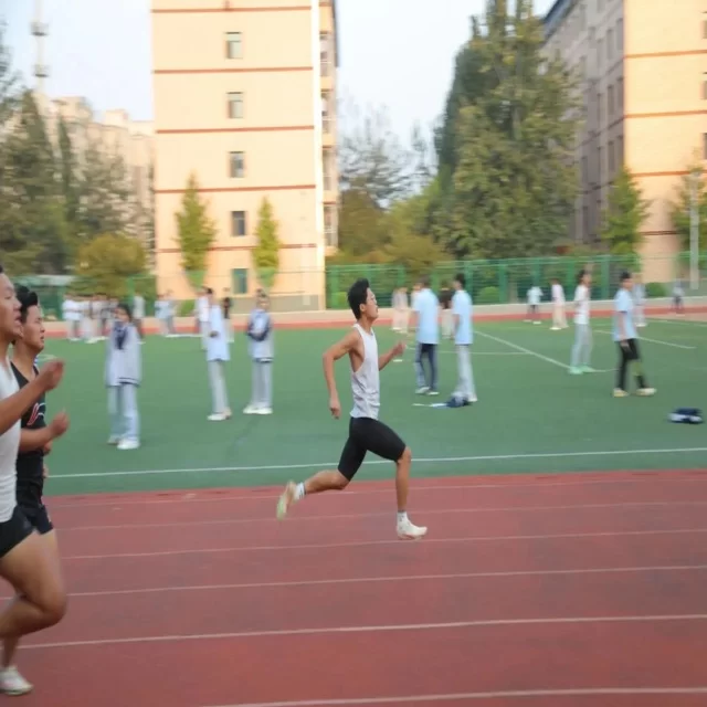 赛前观察：阵容变化如何影响赛事走势